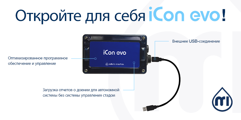 Icon Evo RUS